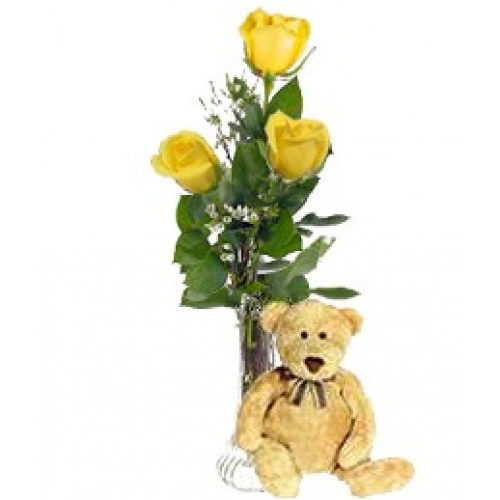 Roses & Teddy delivery Galway
